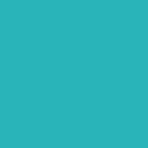 PolyLite PLA Silk (1Kg / 1.75) - Teal (Seda Verde Azulado)