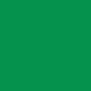 Panchroma™ CoPE (1.75 / 1Kg) - Green / Verde