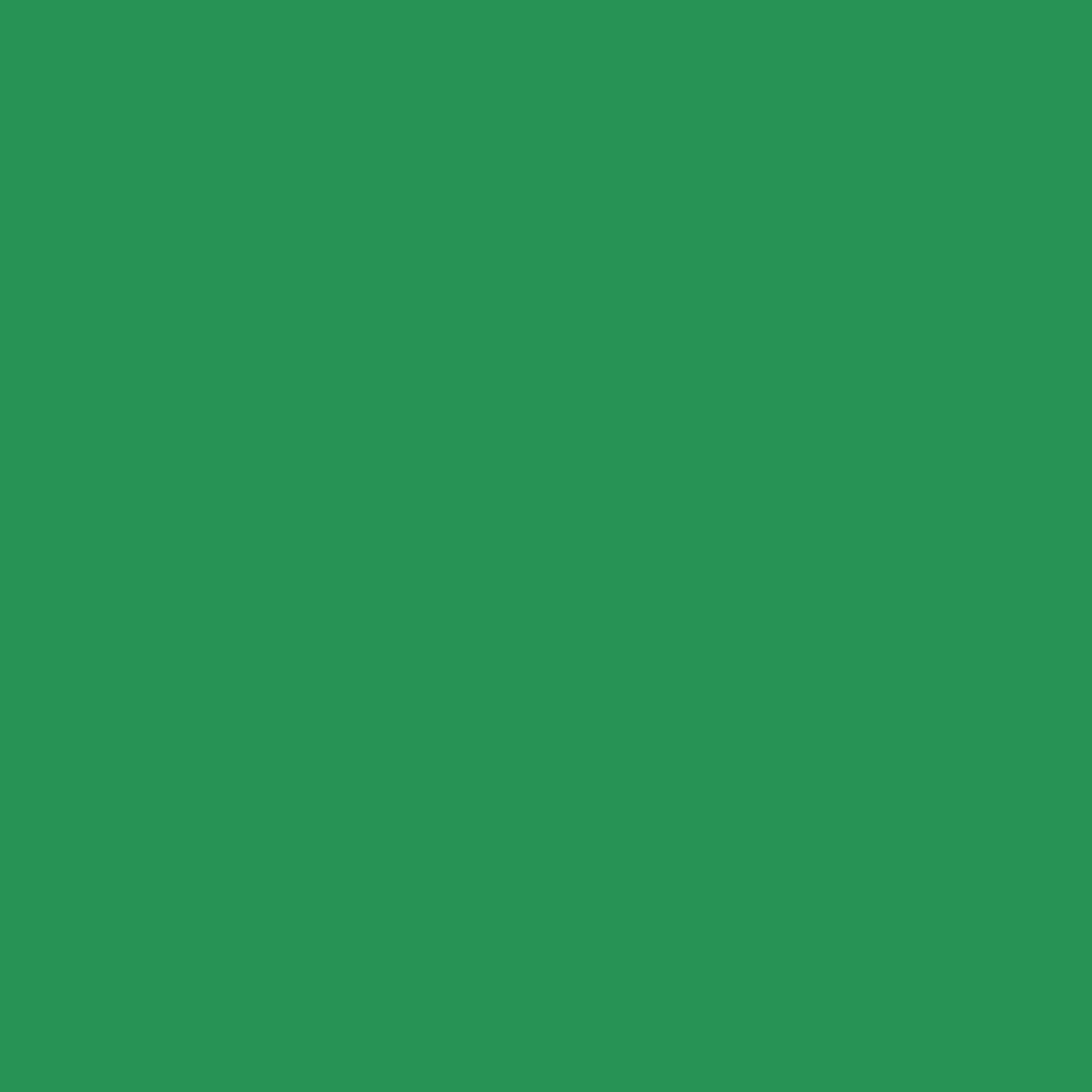 Polymaker HT-PLA (1,75 / 1Kg) - Green