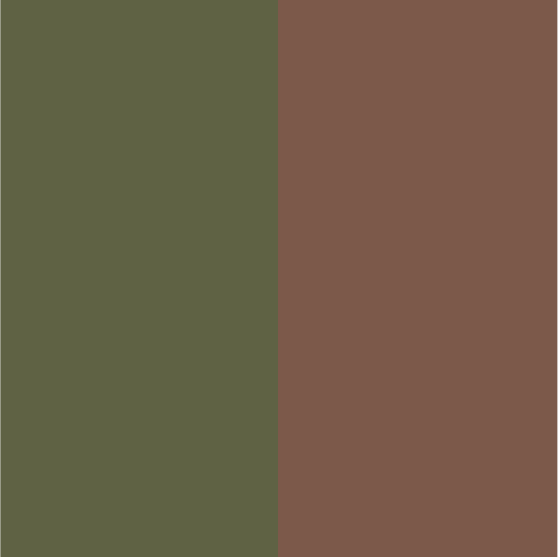Panchroma PLA Dual Matte (1Kg / 1.75) - Camouflage  (Dark Green/Brown) (Verde Oscuro/Marrón)